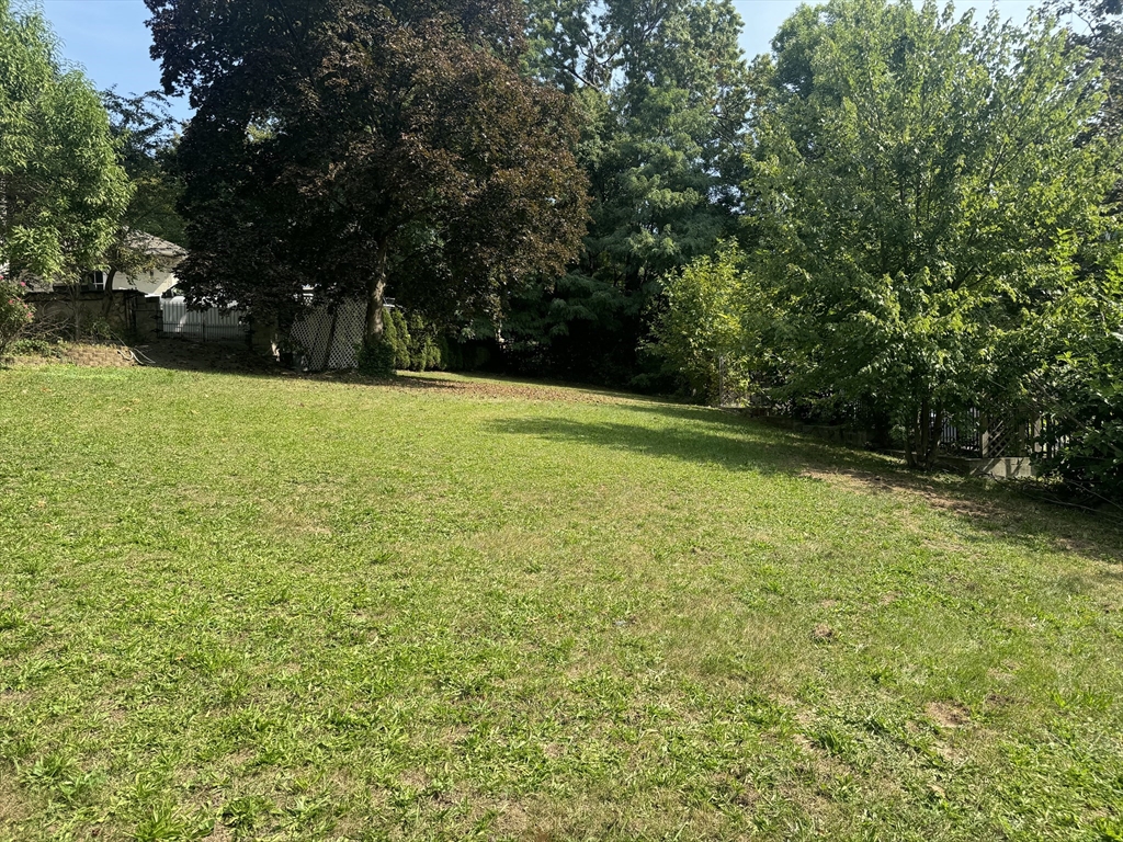 a view of outdoor space and yard