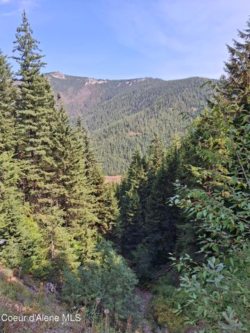 $199,950 | Nka Nka Eagle Mining District Murray Id 83874