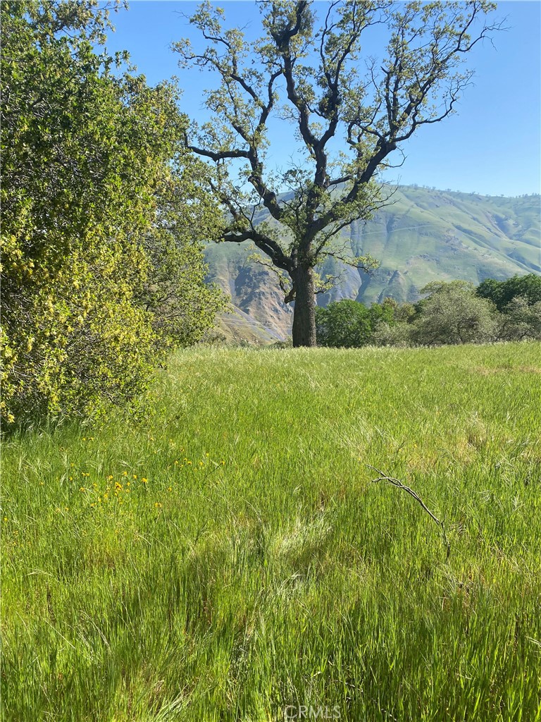 a view of a yard in a field