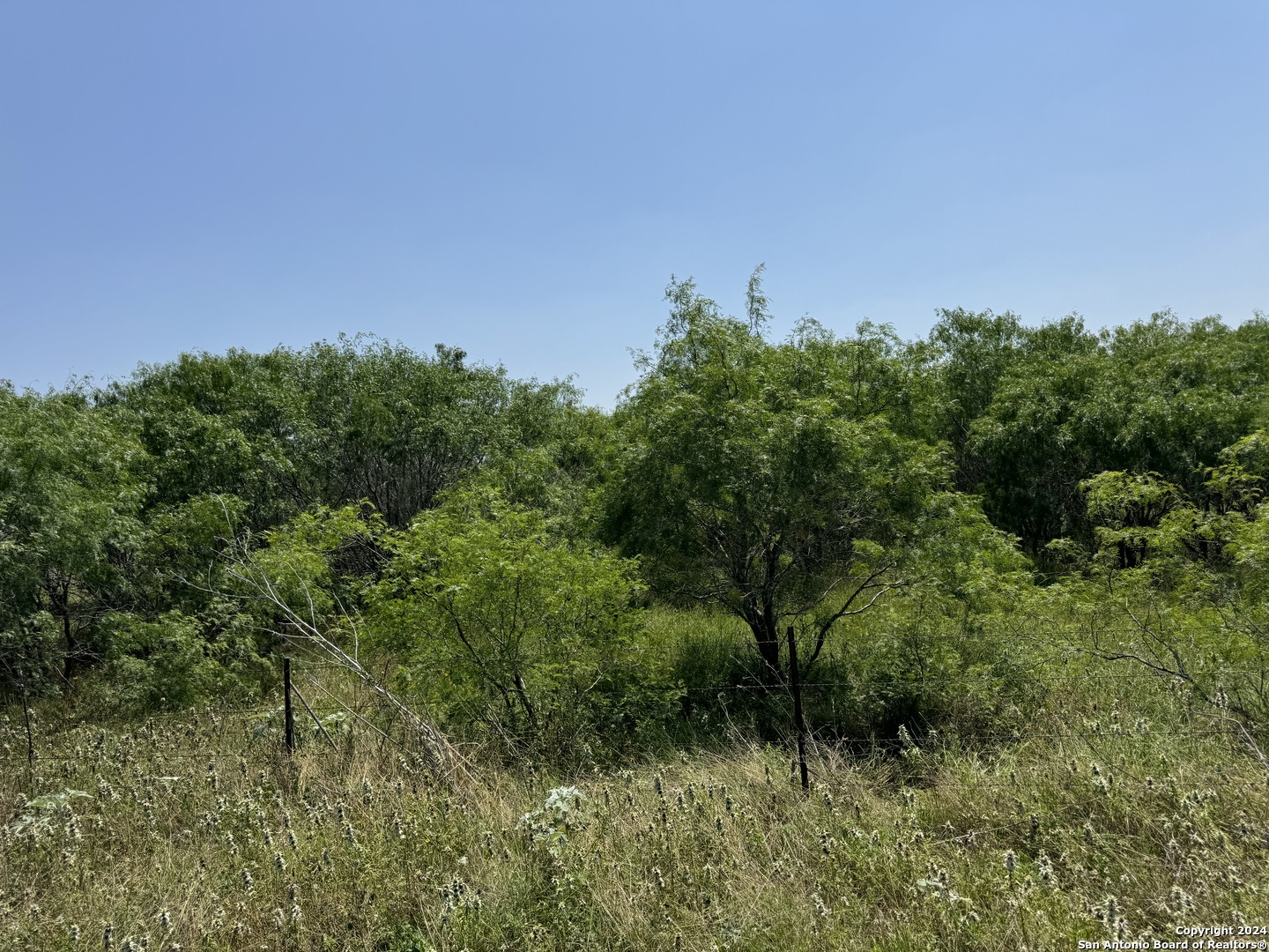 a view of a large yard with lots of green space and fog