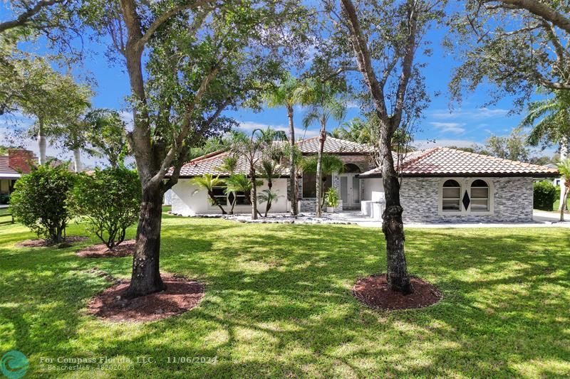 a view of a tree in front of a house with a big yard