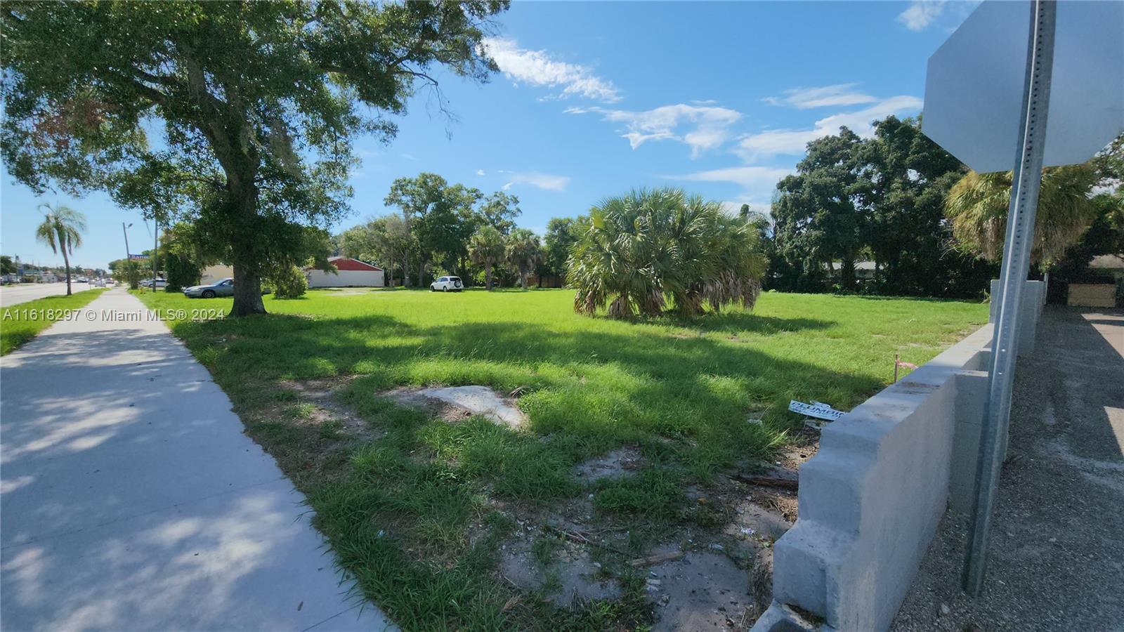 a view of a park with large trees