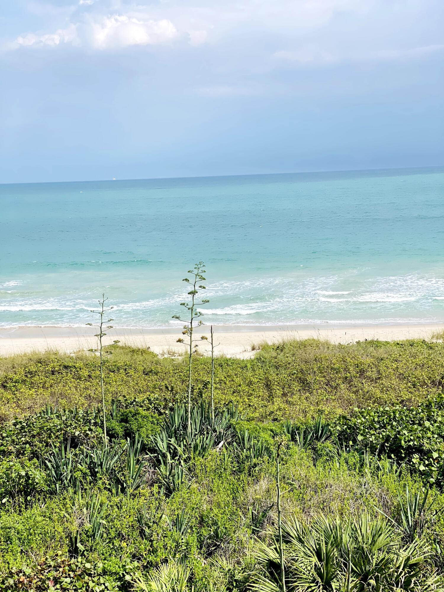 a view of an ocean and beach