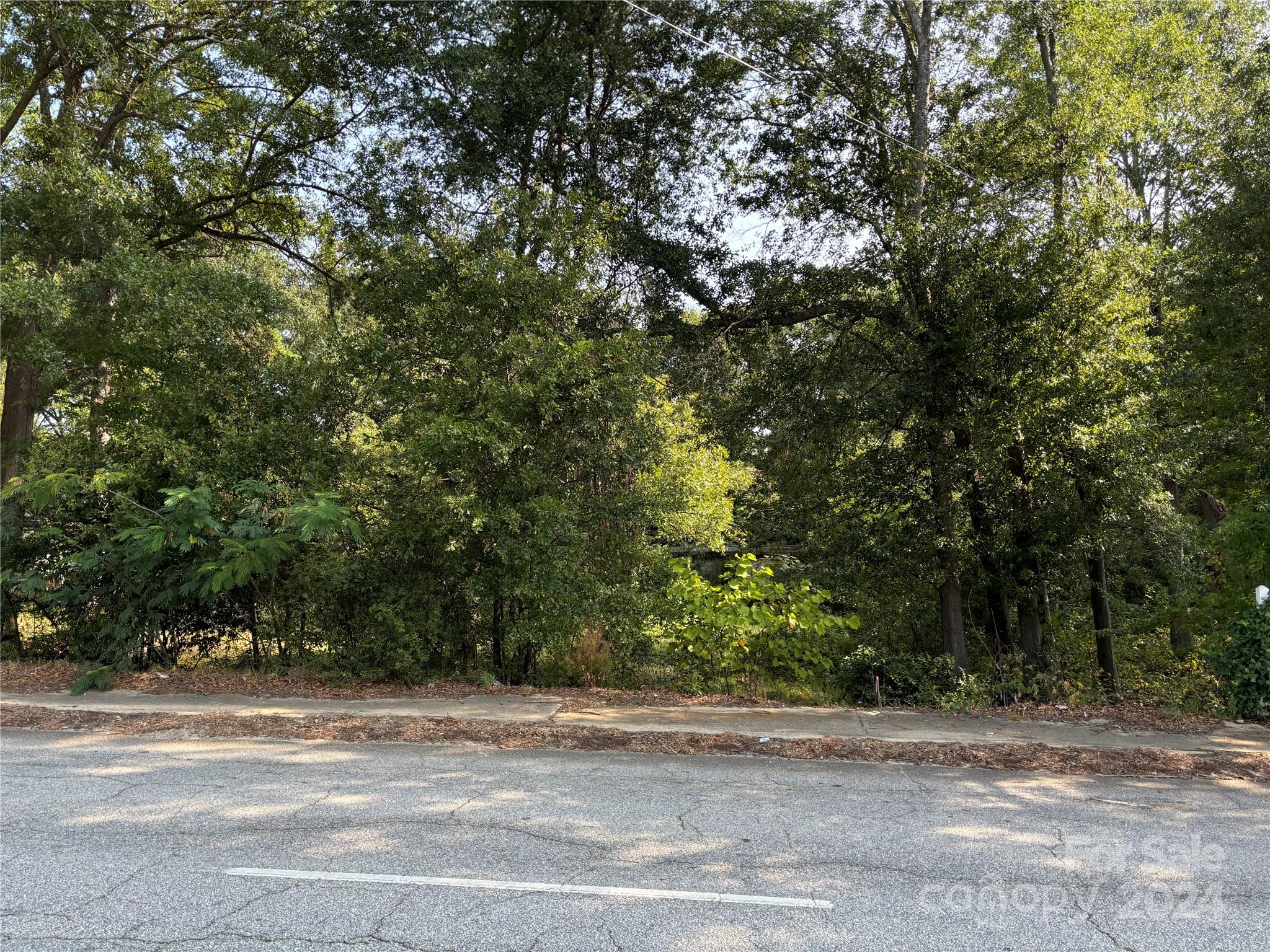 a view of a yard with a trees