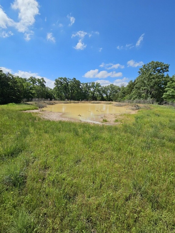 a view of lake with green space