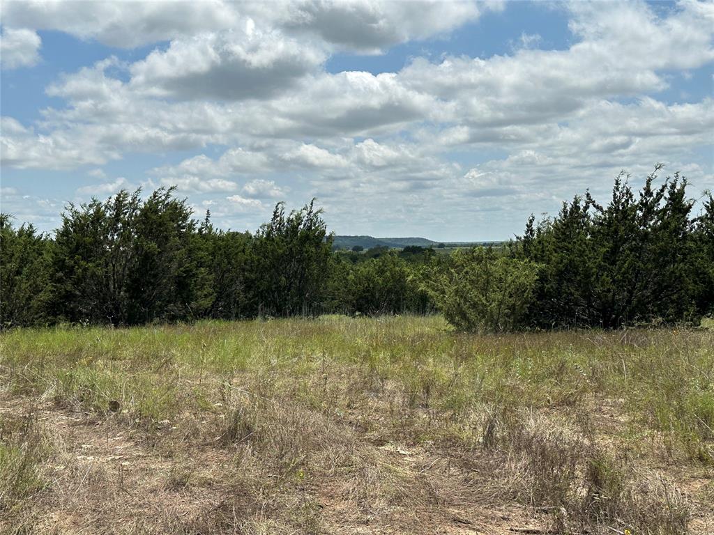 a view of a field with a tree in the background