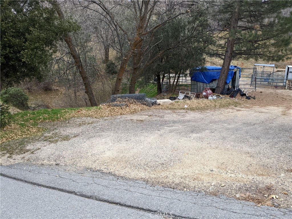 a view of a yard with a tree