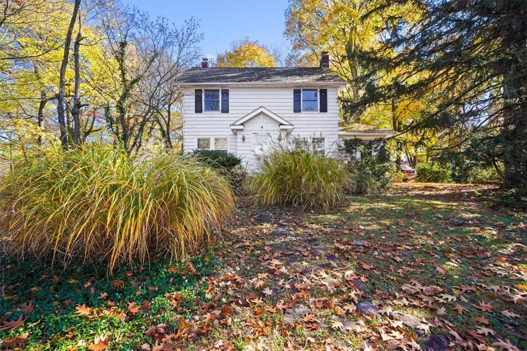 a view of a back yard