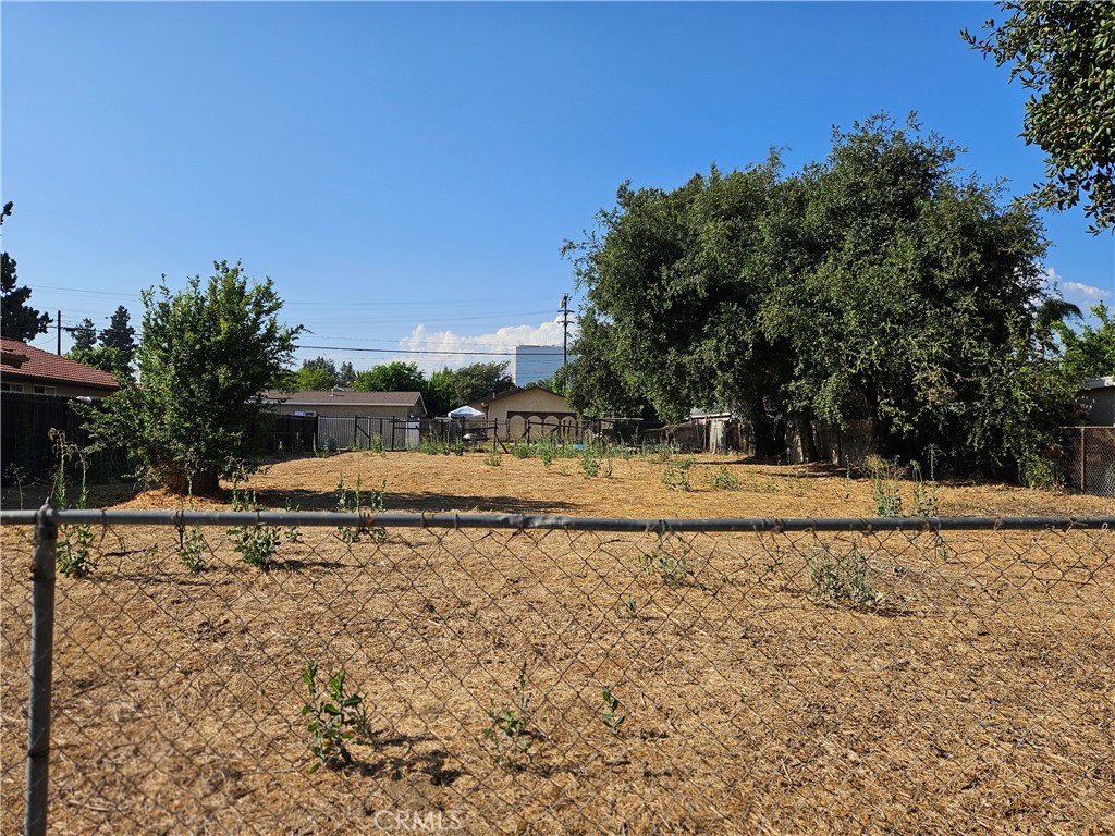 a view of tall trees with a yard