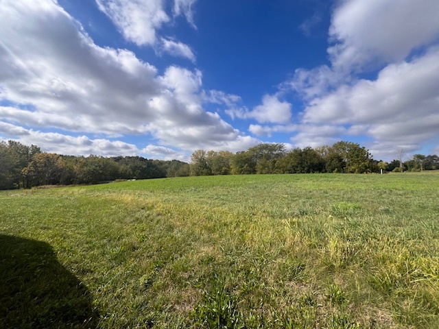 a view of a field with an ocean