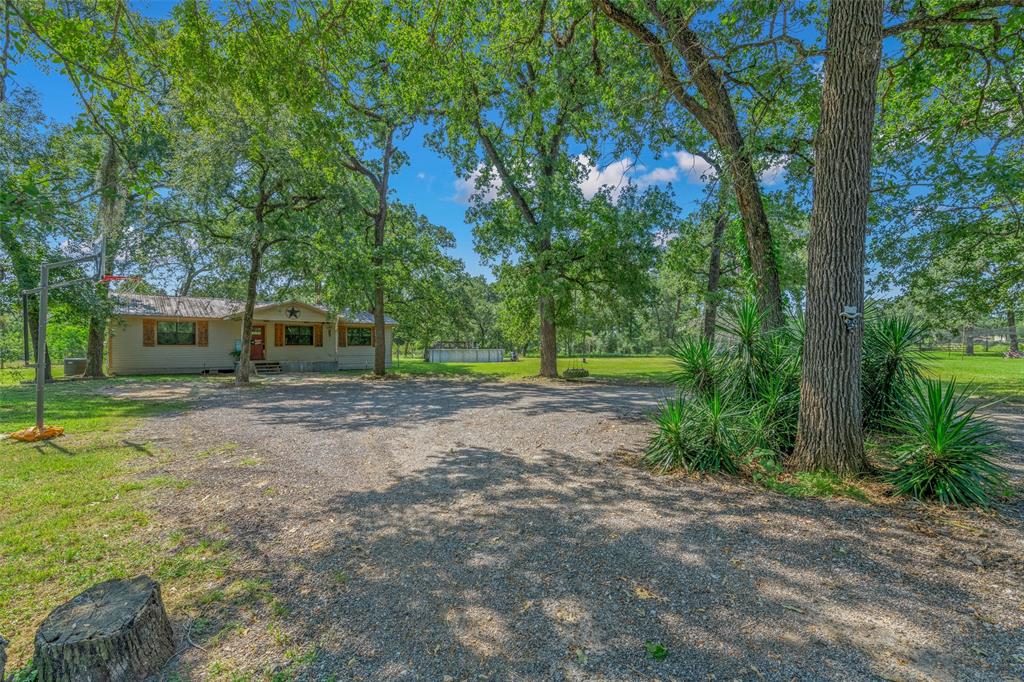 a view of a backyard with large trees