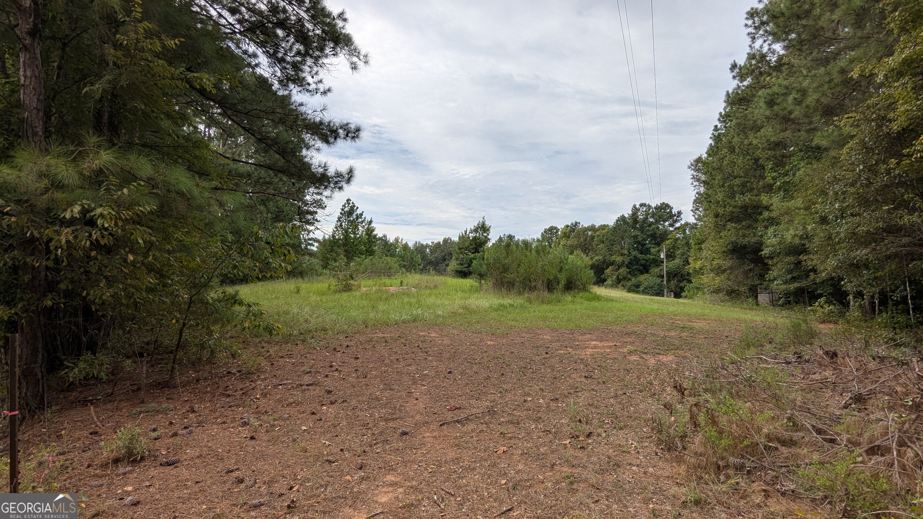 a view of outdoor space with trees all around