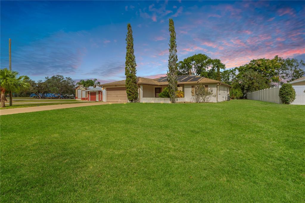 a view of a house with a big yard and a large tree