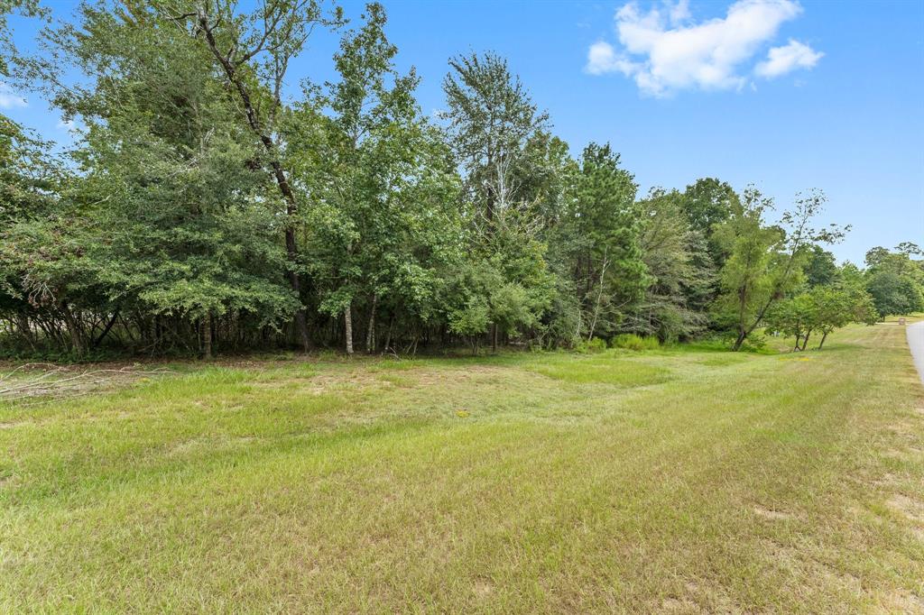 a view of a yard with a trees