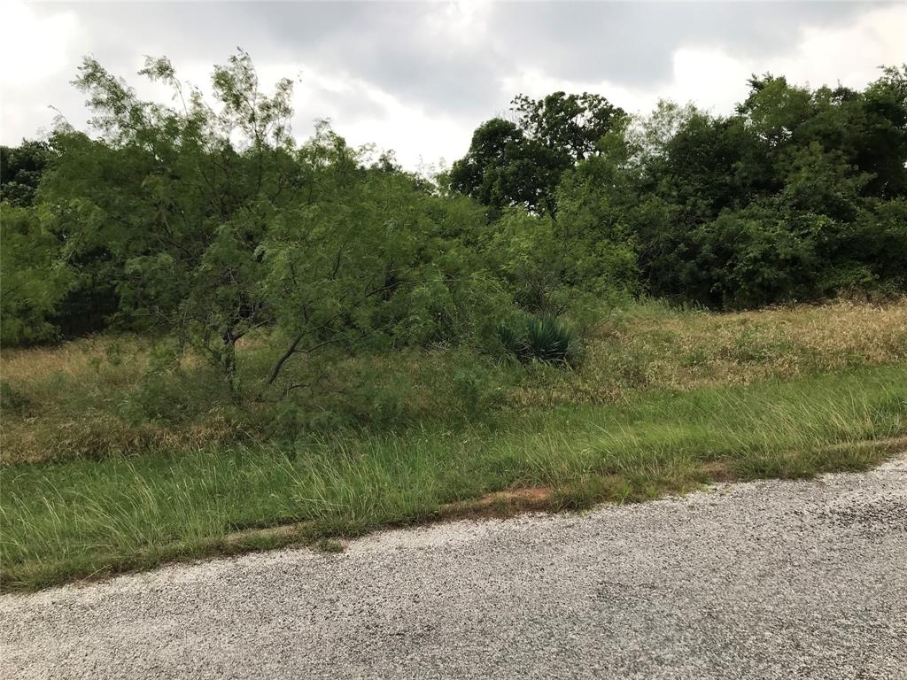 a view of a field with a tree