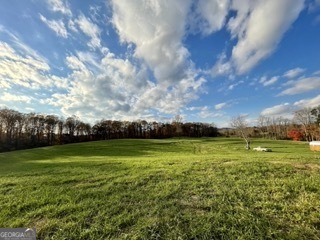 a view of a big yard with a large trees