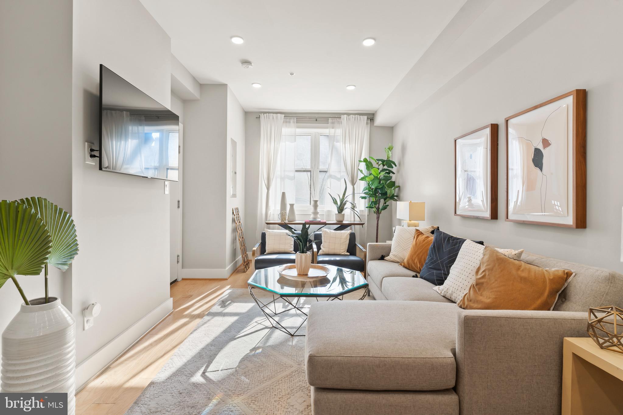 a living room with furniture and a potted plant