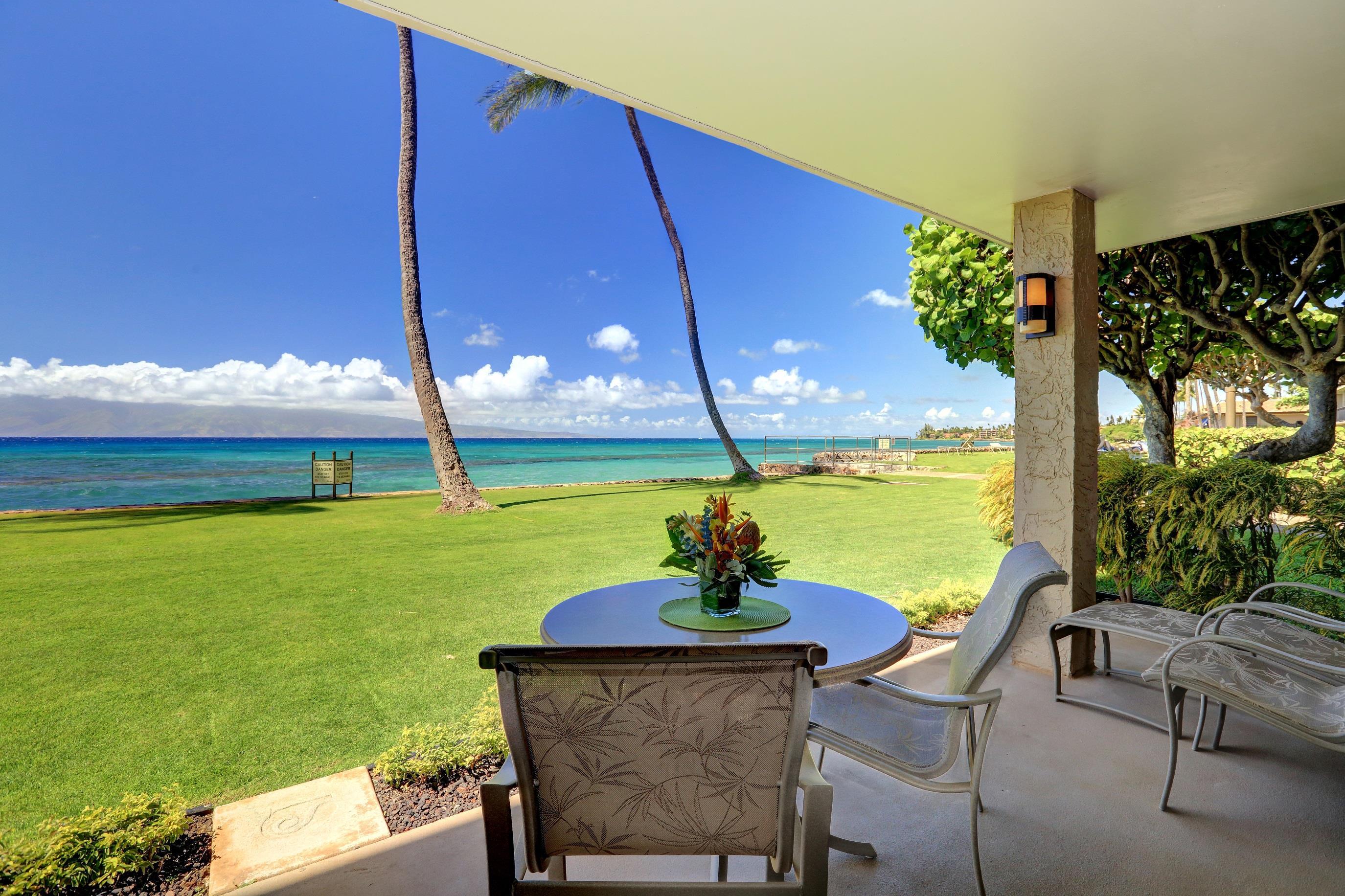 a view of a chairs and table in the patio