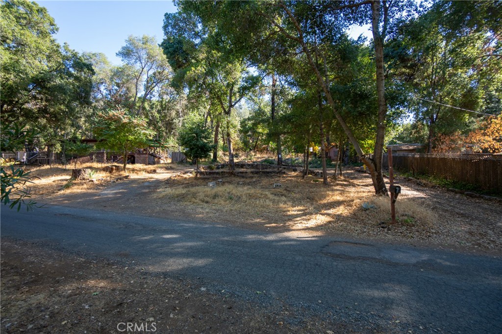 a view of a yard with a tree