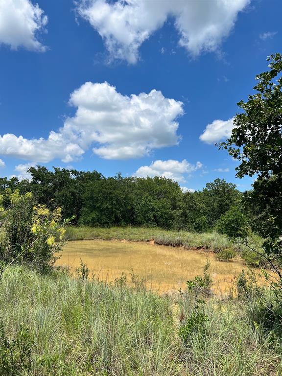 a view of a lake from a yard