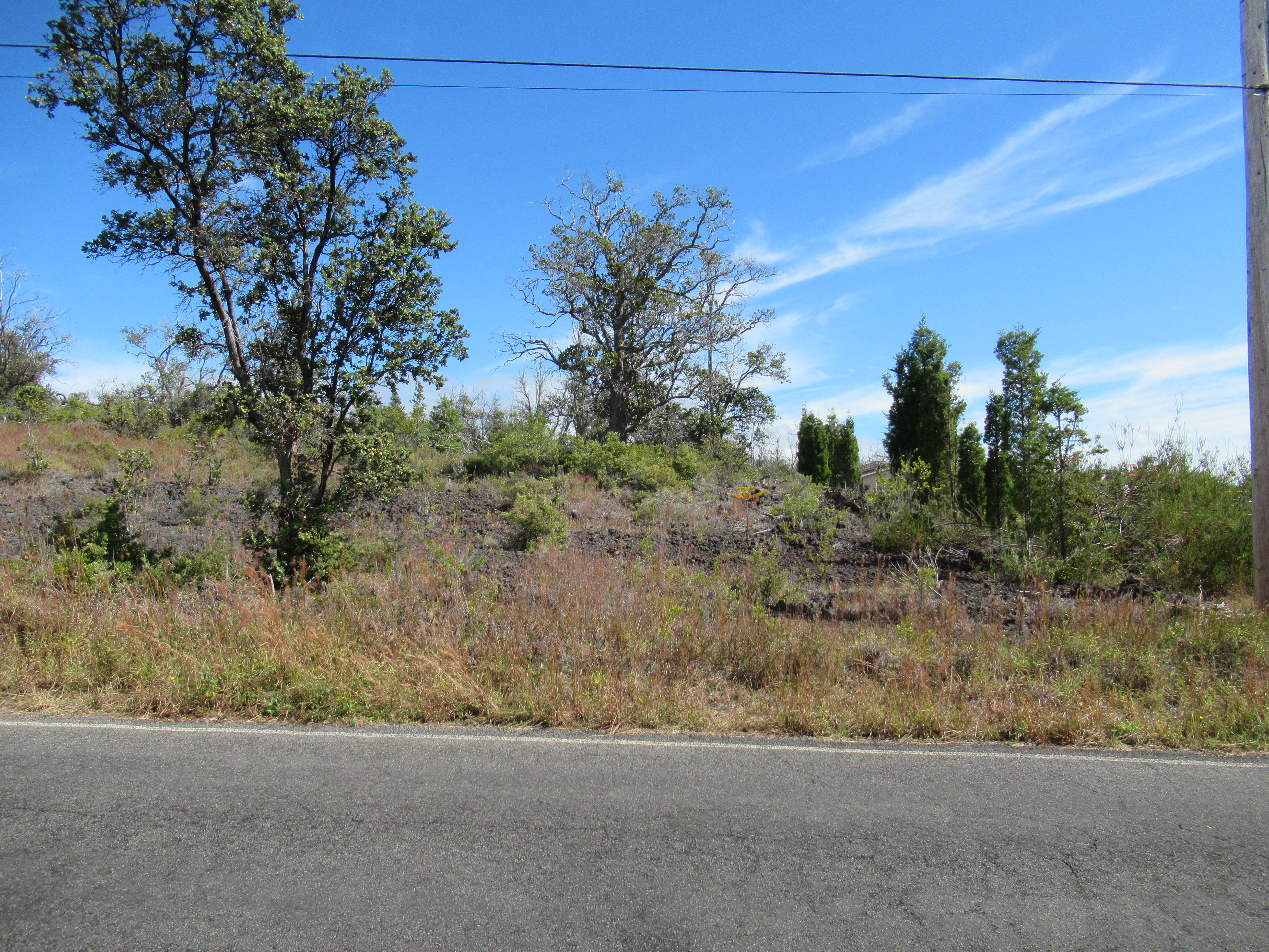 a view of a dry yard with wooden fence