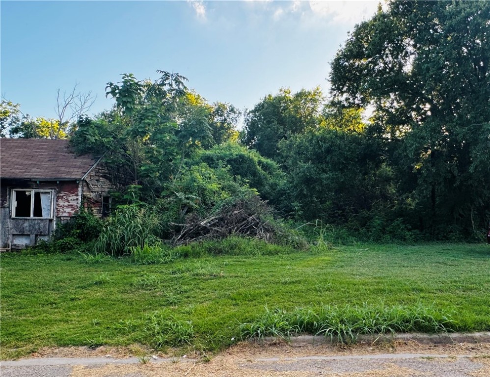 a view of a backyard