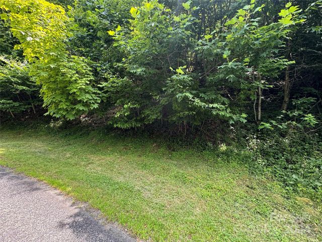 $20,000 | 97-99 Goldenleaf Road, Unit 9799 | Egypt Township - Yancey County