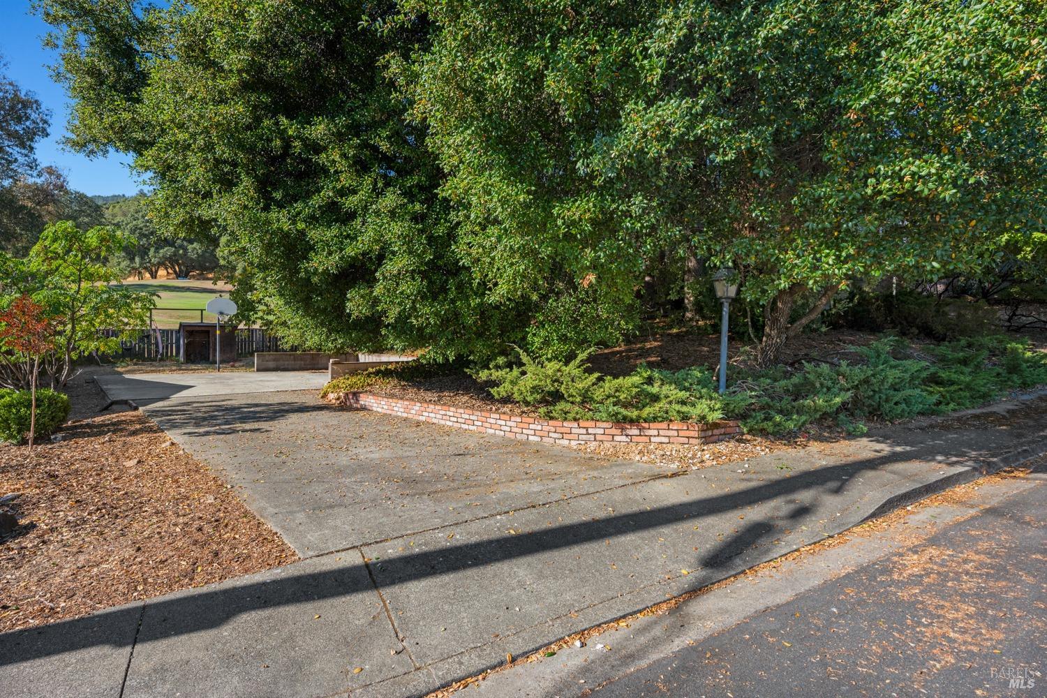 a backyard of a house with plants and trees