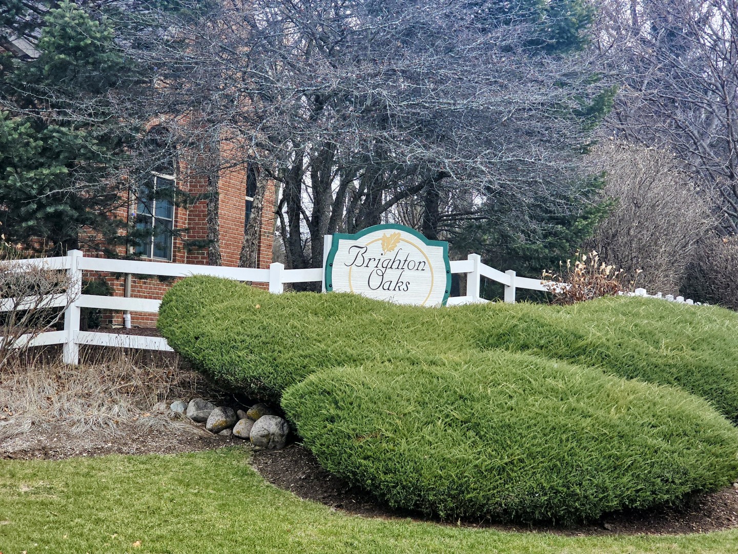 a view of a back yard with green space