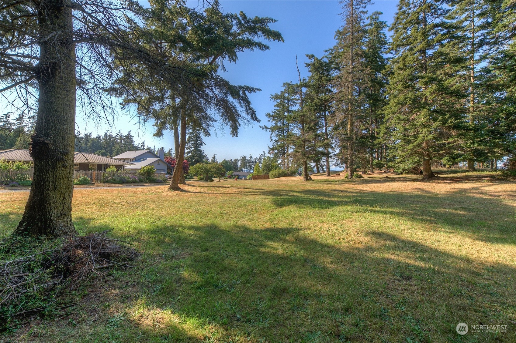 a view of outdoor space with trees