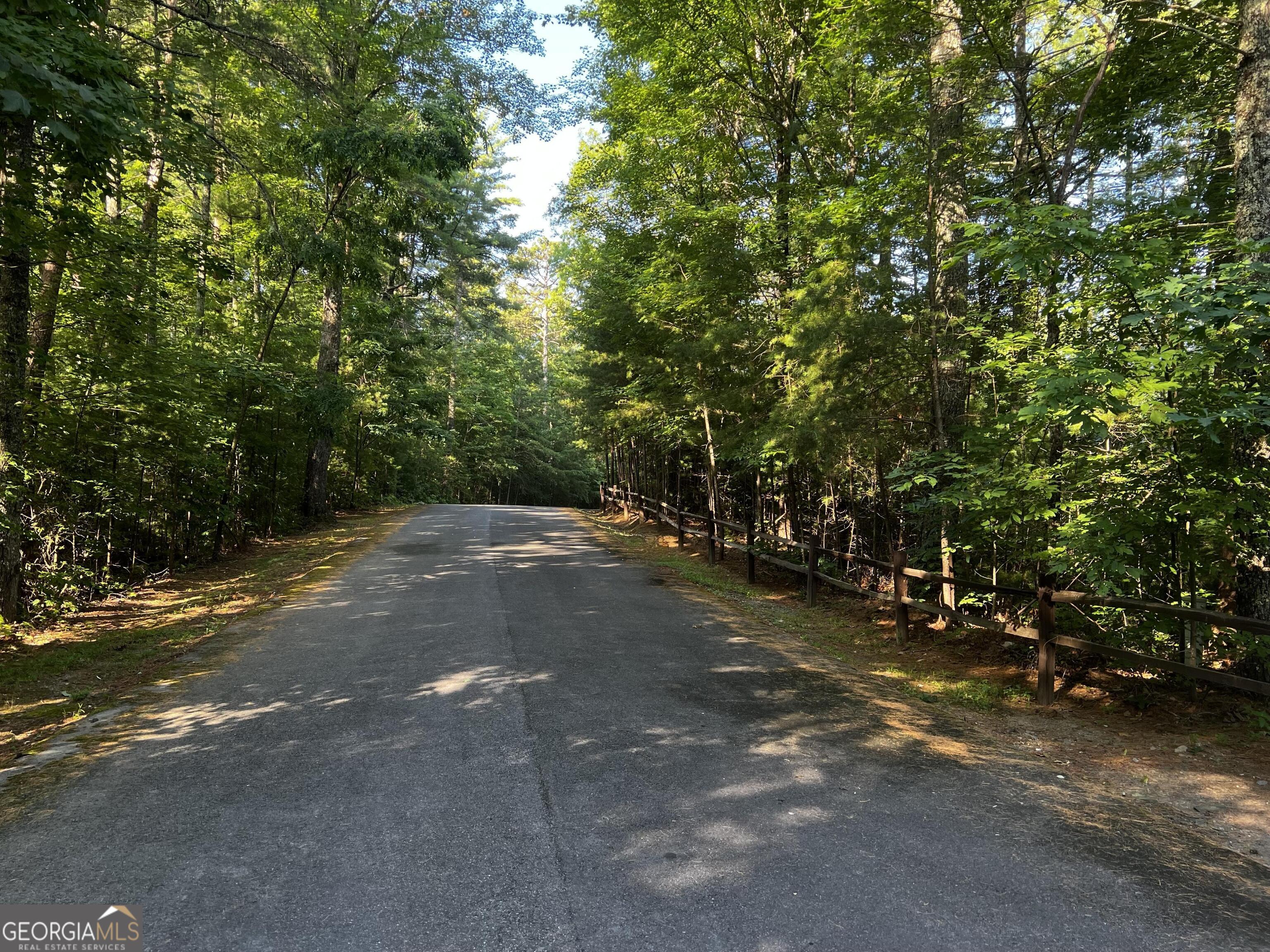 a view of a forest with trees