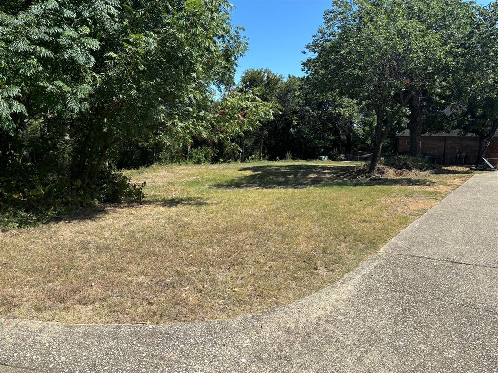 a view of a yard with large trees