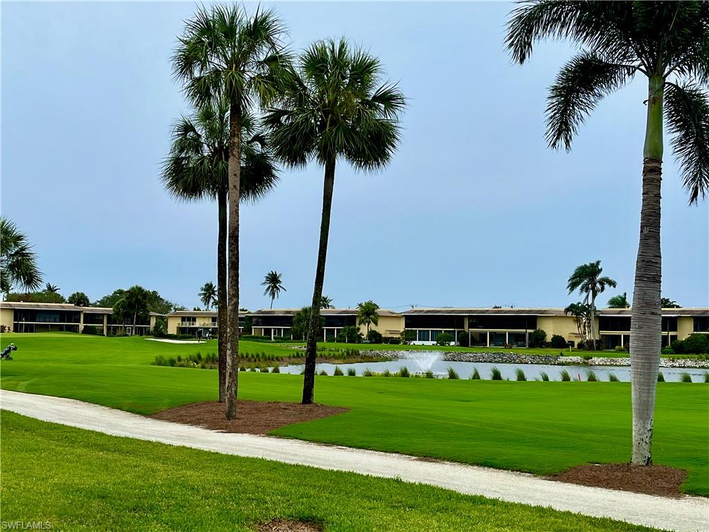 a view of a park with palm trees