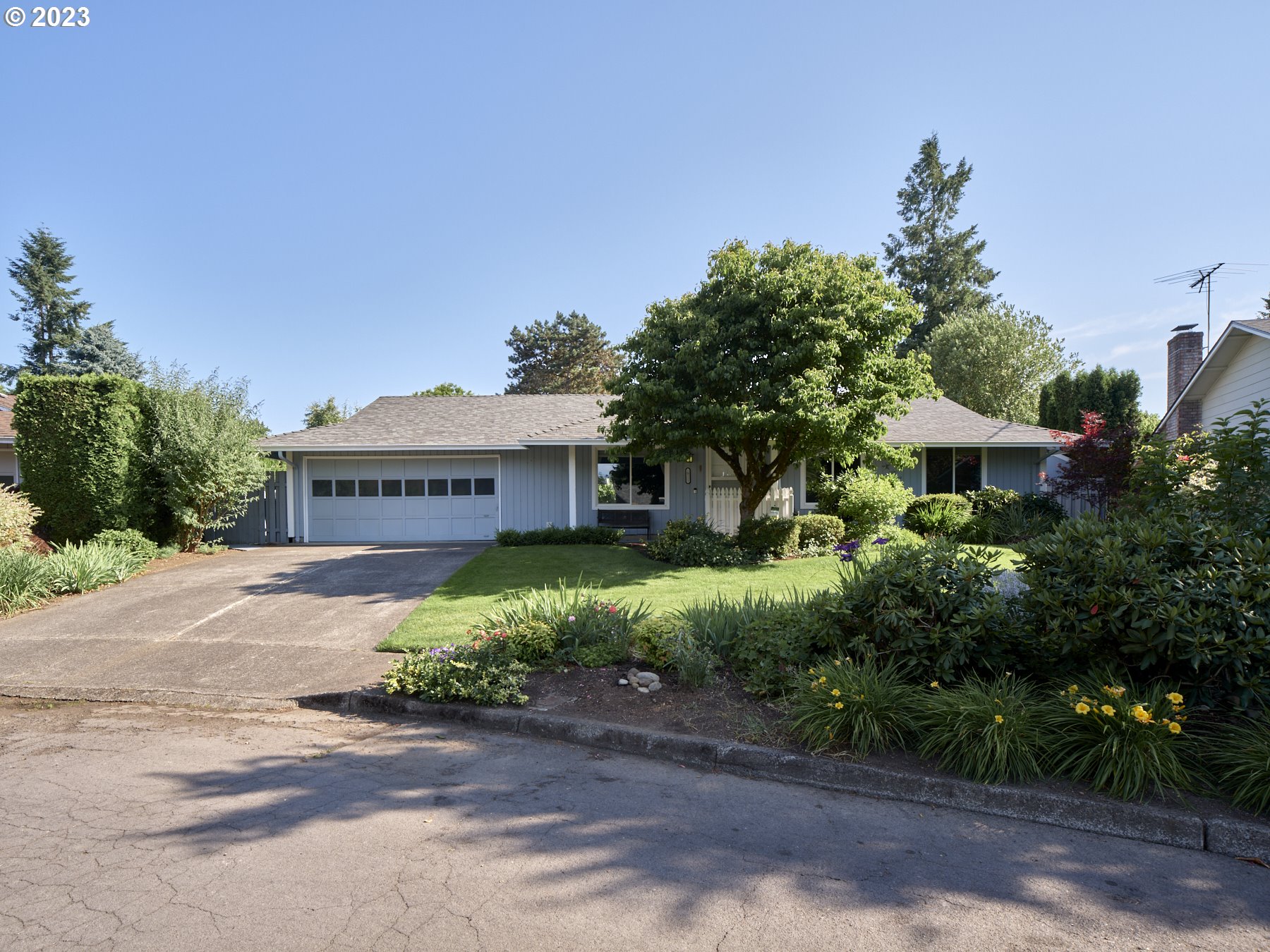 a view of a house with a yard and tree s