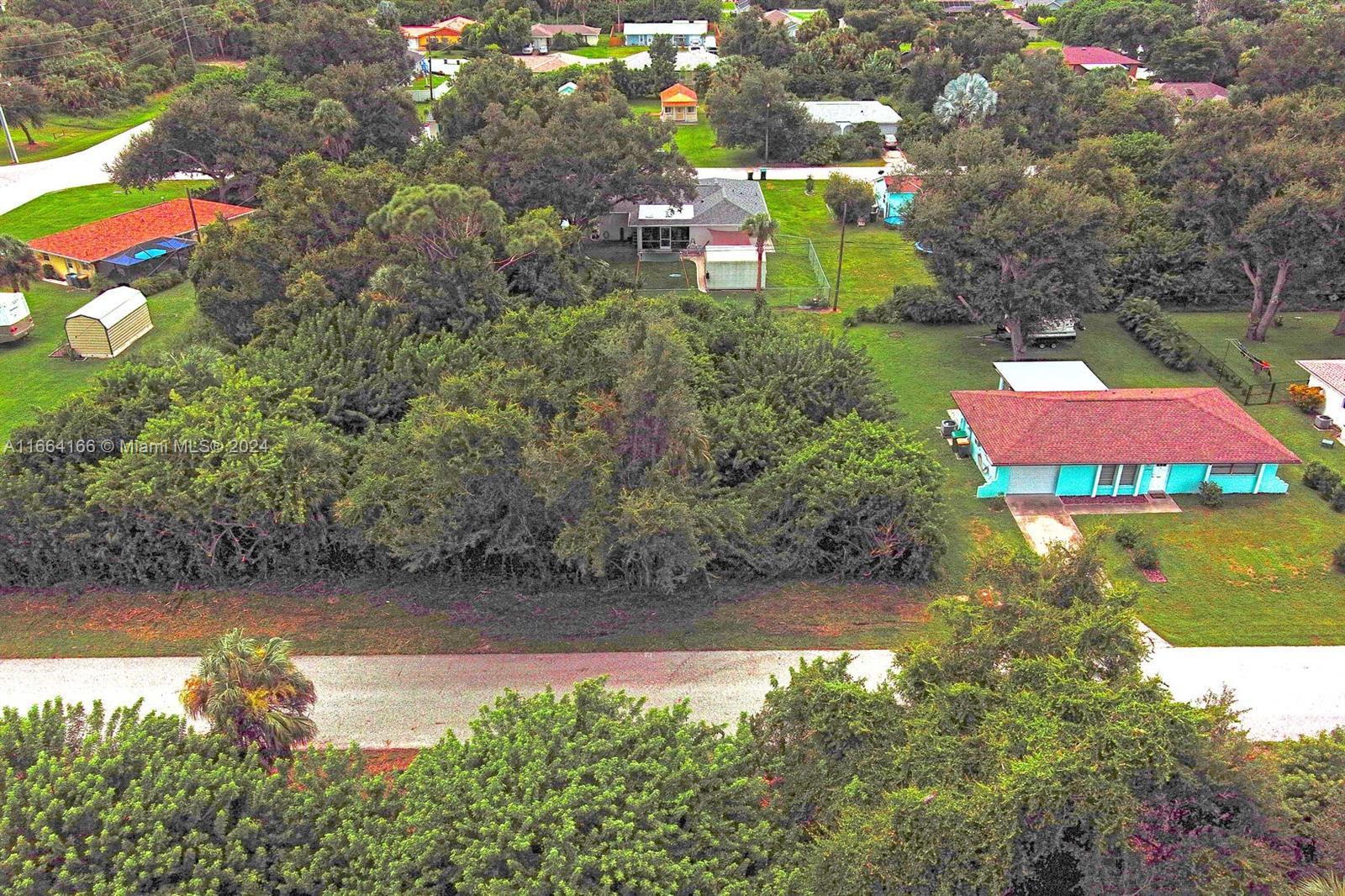 a view of a yard with plants