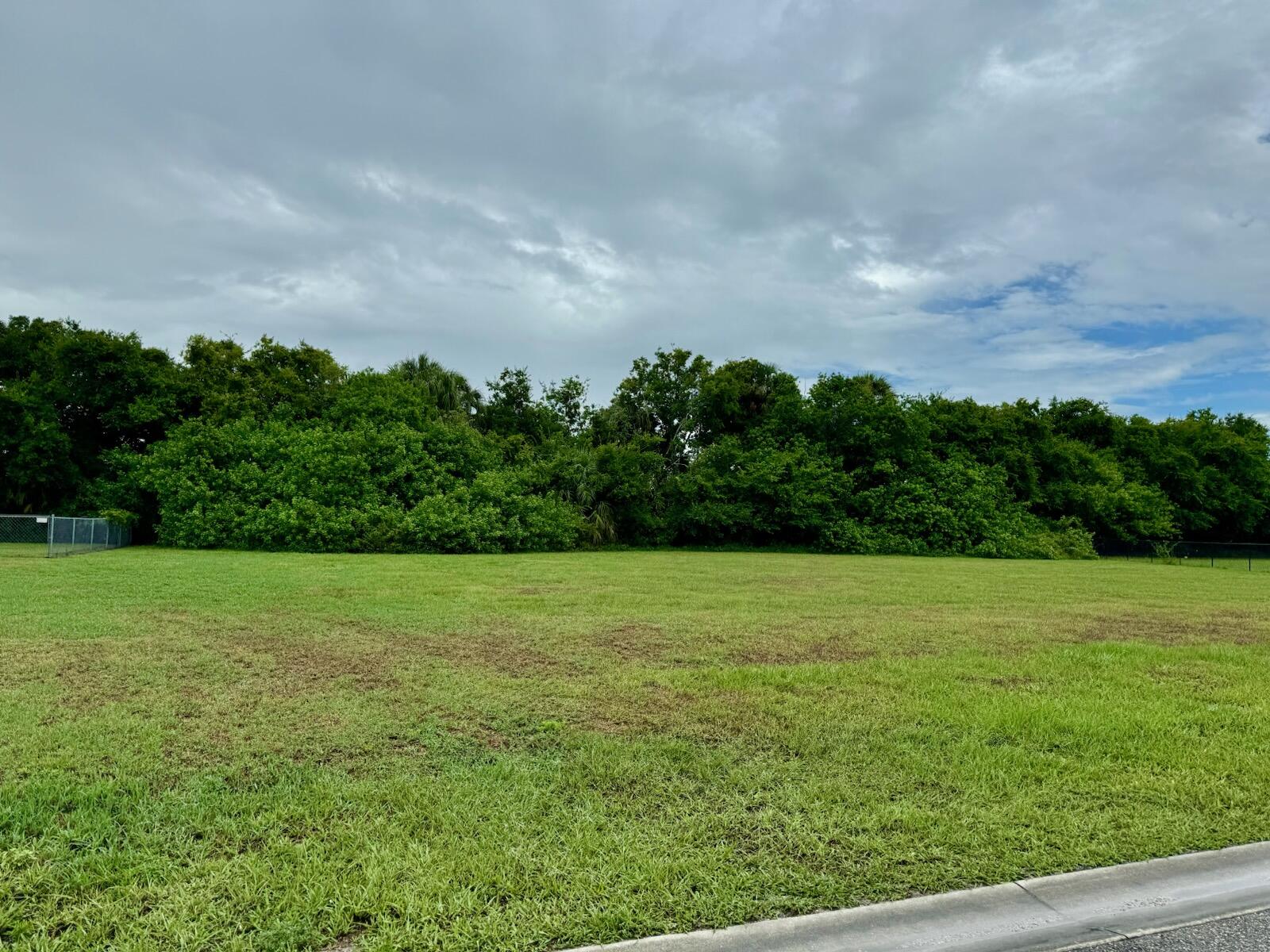 a view of field with tall trees