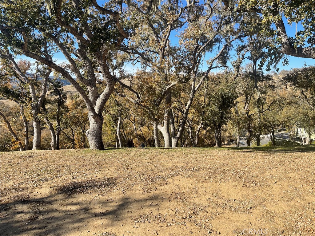 a view of outdoor space with trees