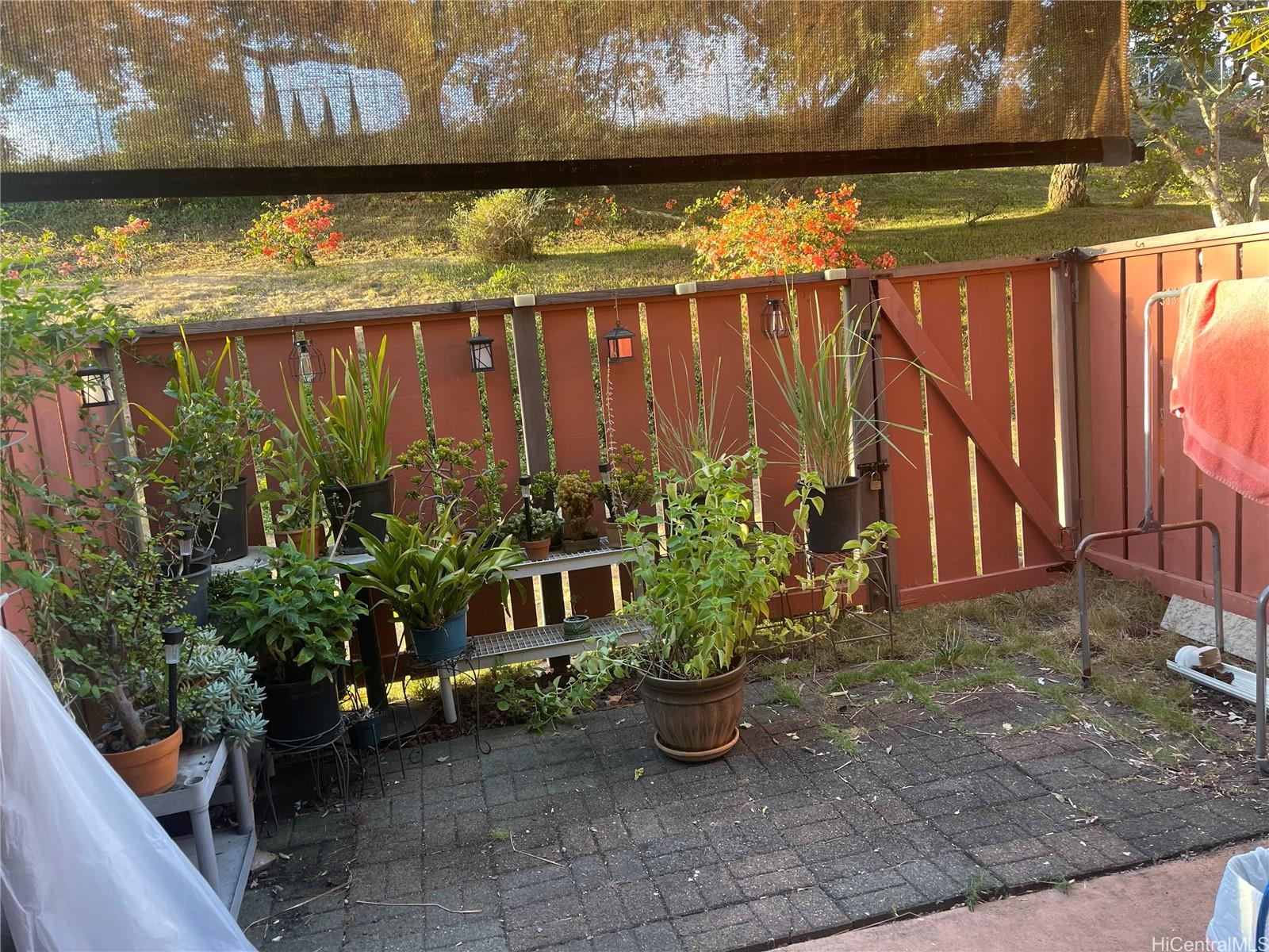 a view of a back yard with plants