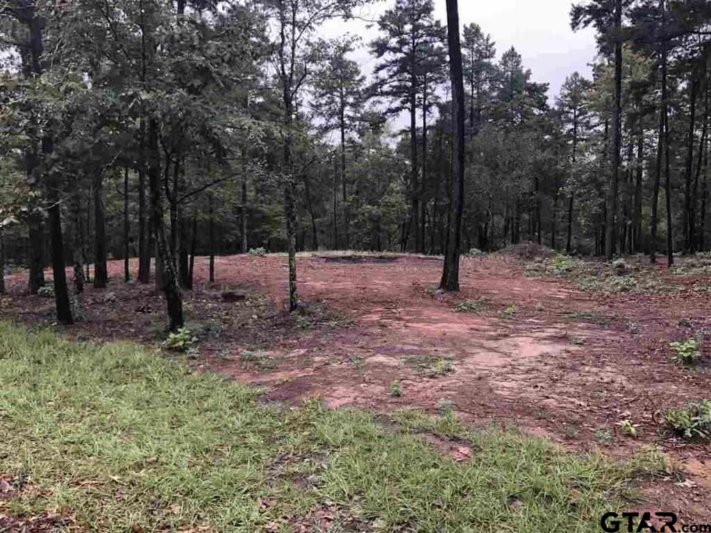 a view of outdoor space with lots of trees