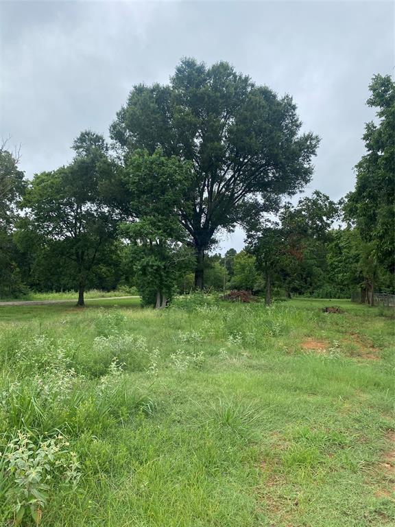 a view of field with trees in the background