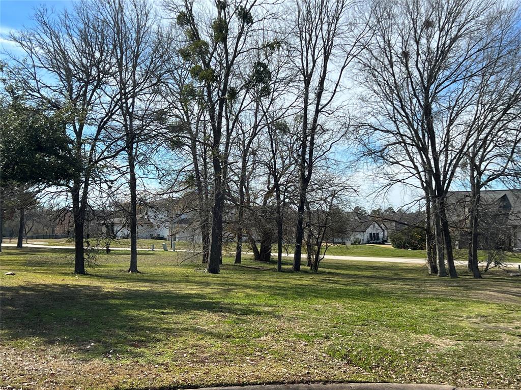 a view of a park with tree s