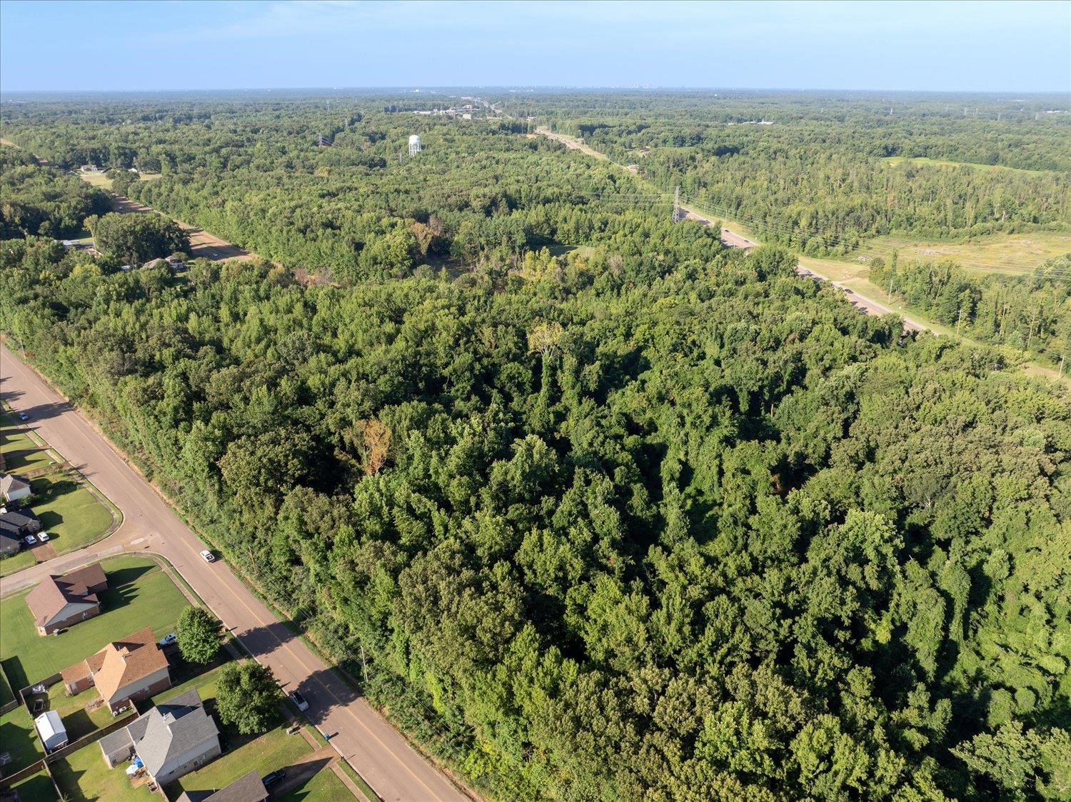 a view of a green field with lots of bushes