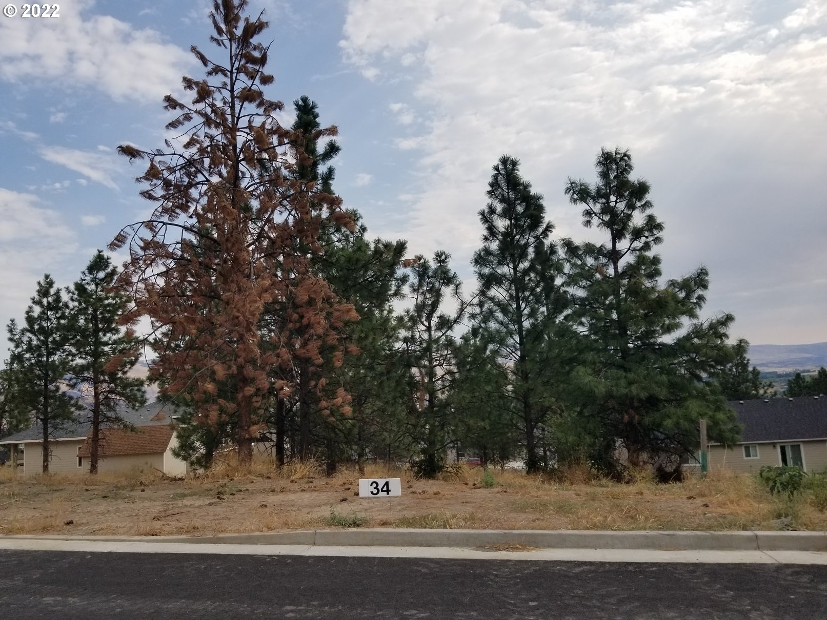 a view of a yard with a tree