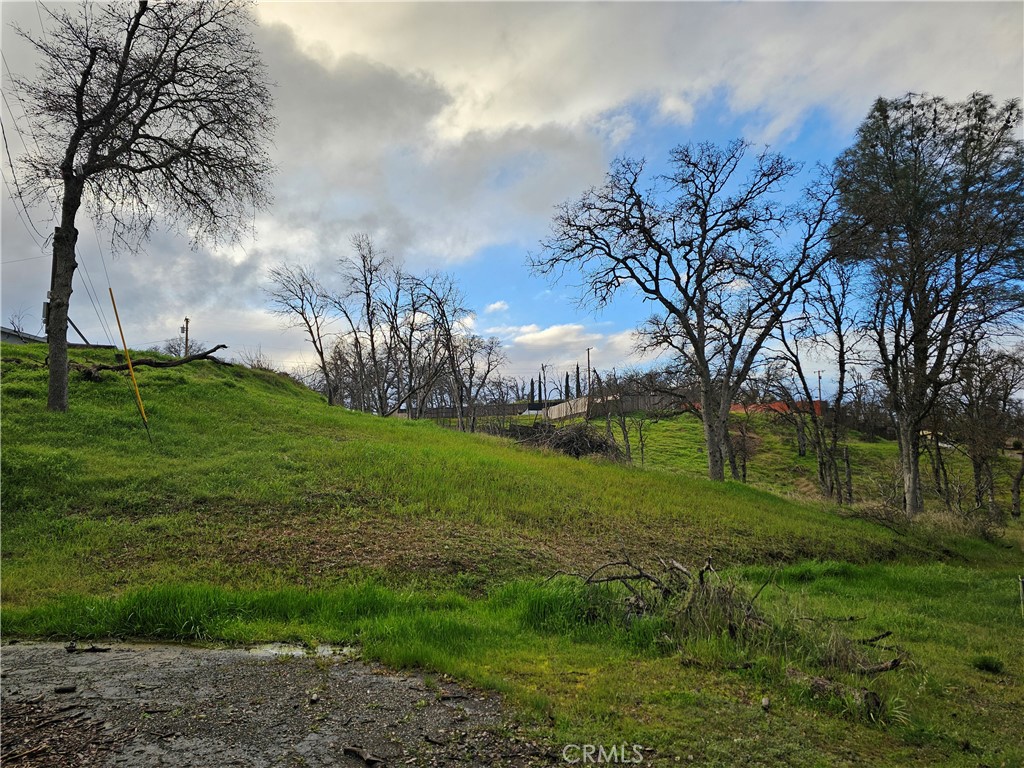 a view of a park