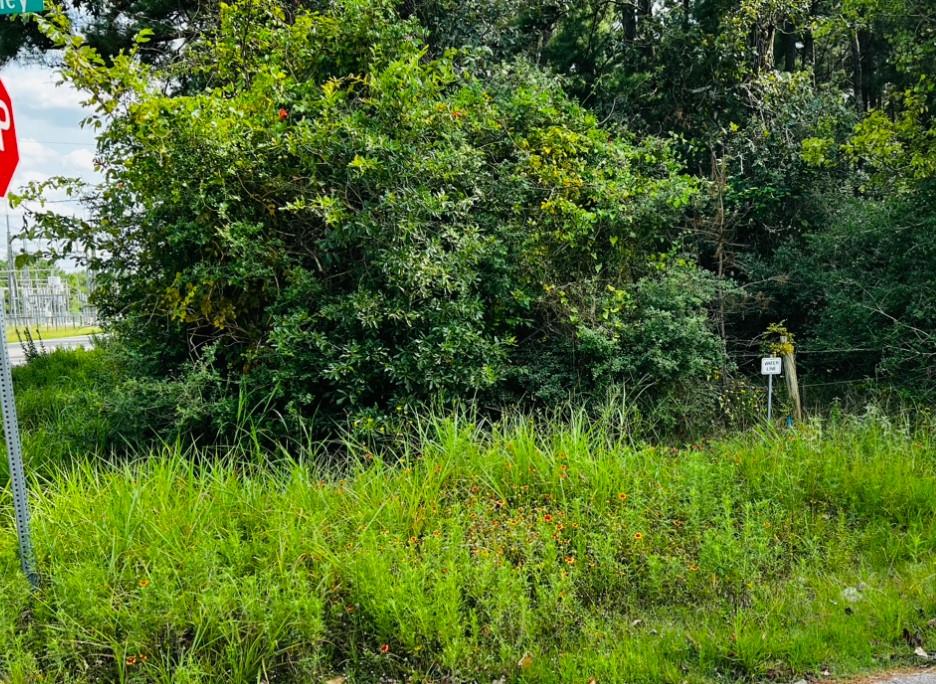 a view of a lush green field