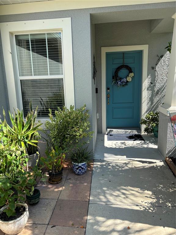 a couple of potted plants in front of door