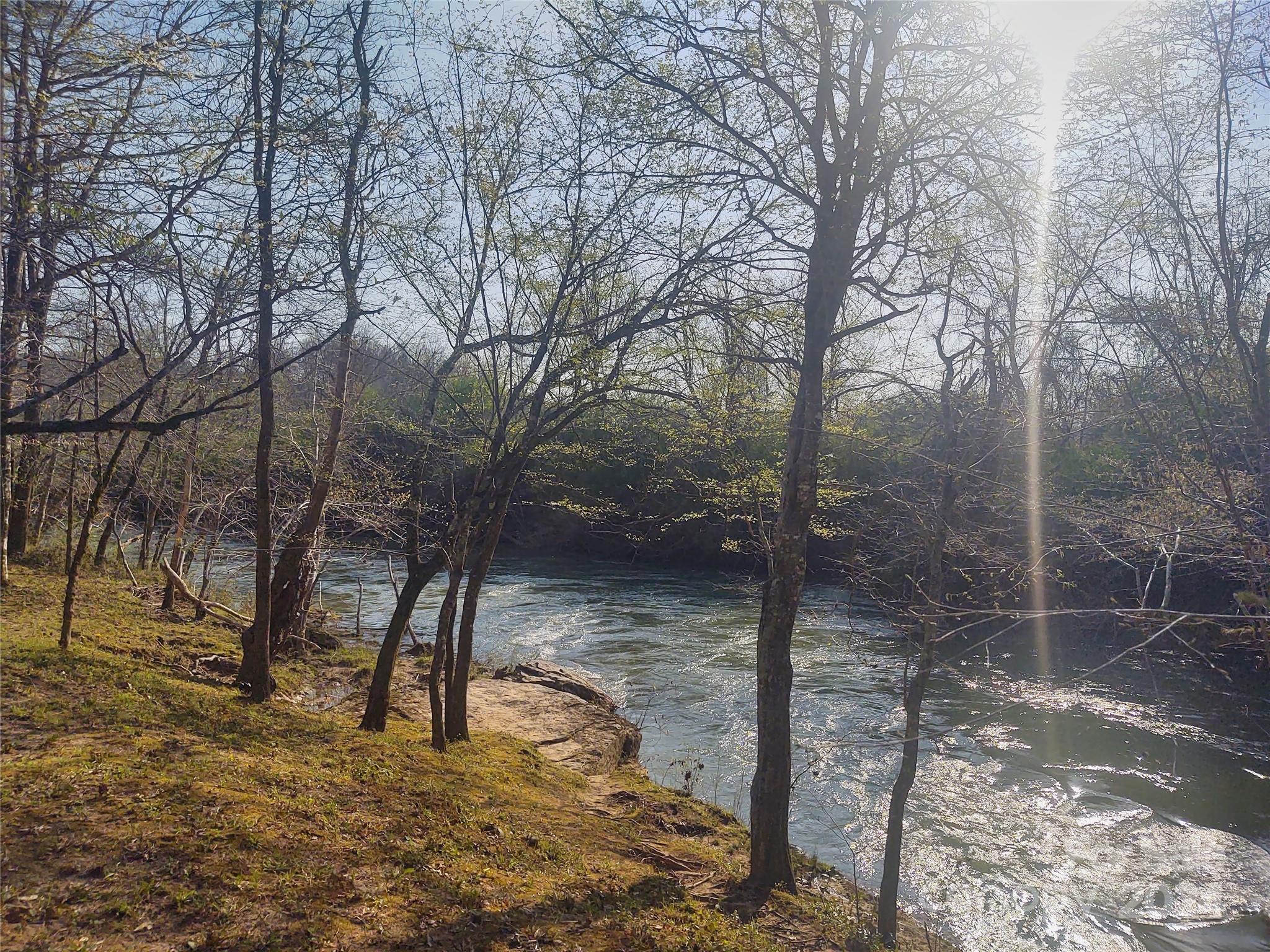 a view of a forest