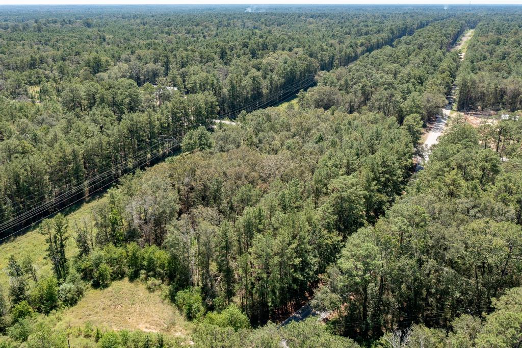 an aerial view of forest