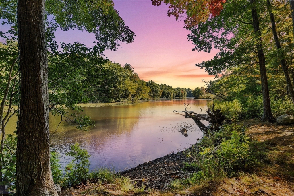 a view of a lake with a tree in the background