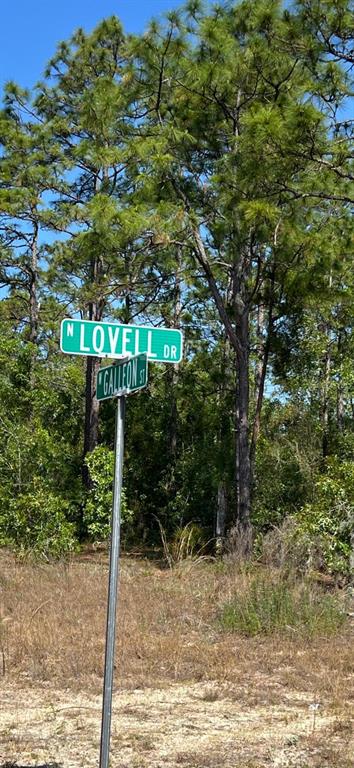 a street sign that is sitting in the forest